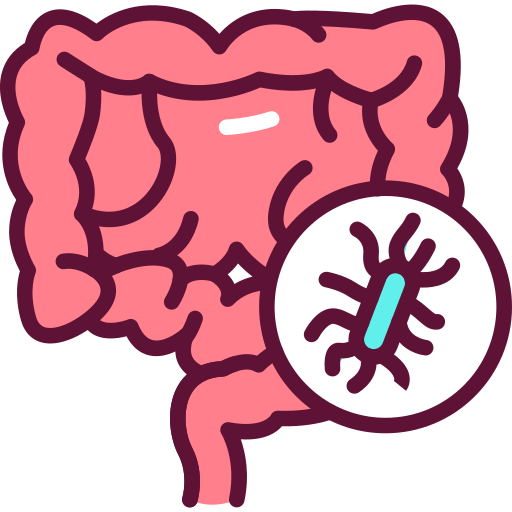 🔍 SIBO intestino delgado: Cuando tu barriga está llena... ¡de intrusos! - stomach 6432053