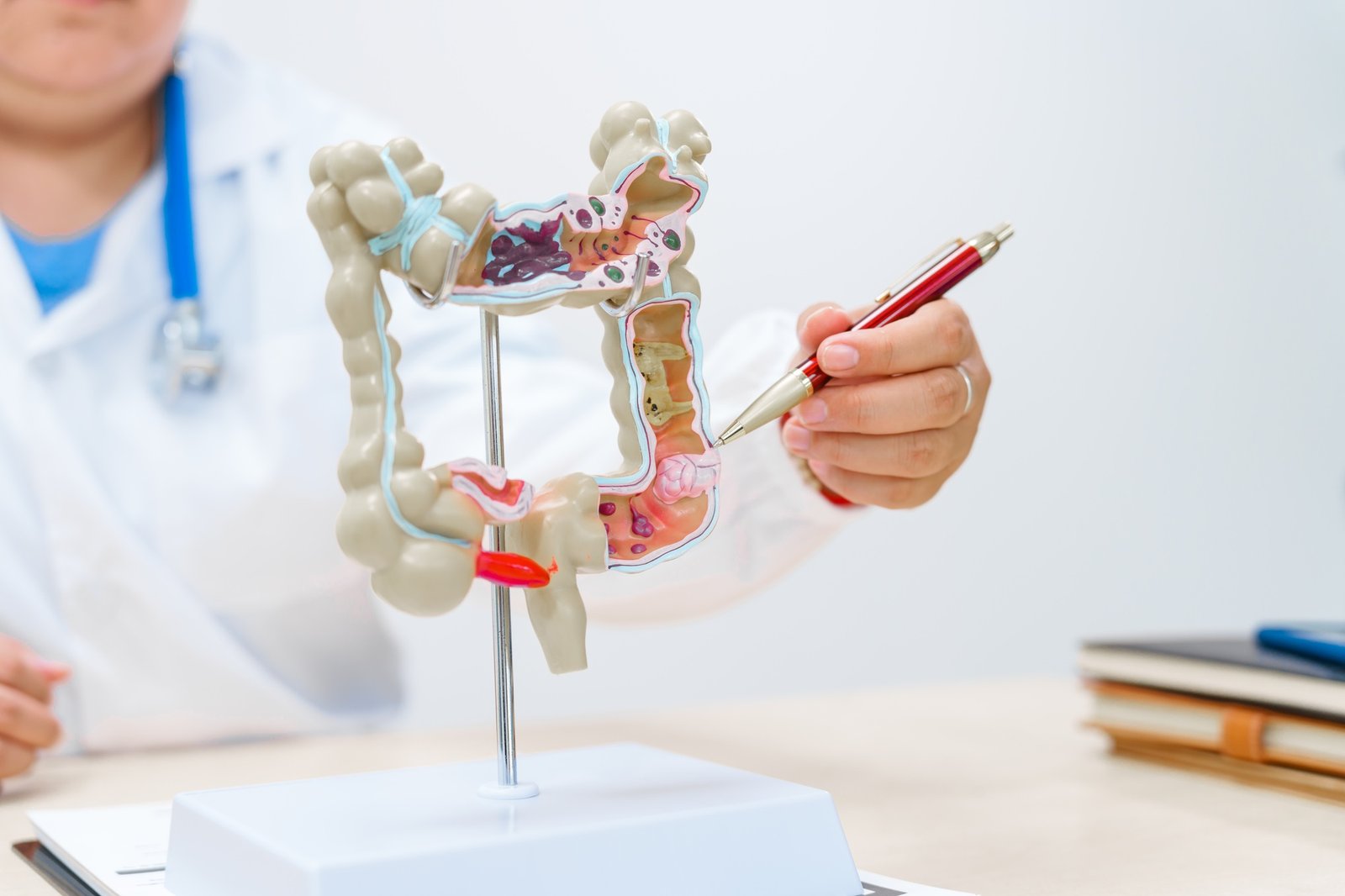 🎓 Academia de Nutrición y Salud Integral A doctor holds a human colon anatomy model, demonstrating the digestive system