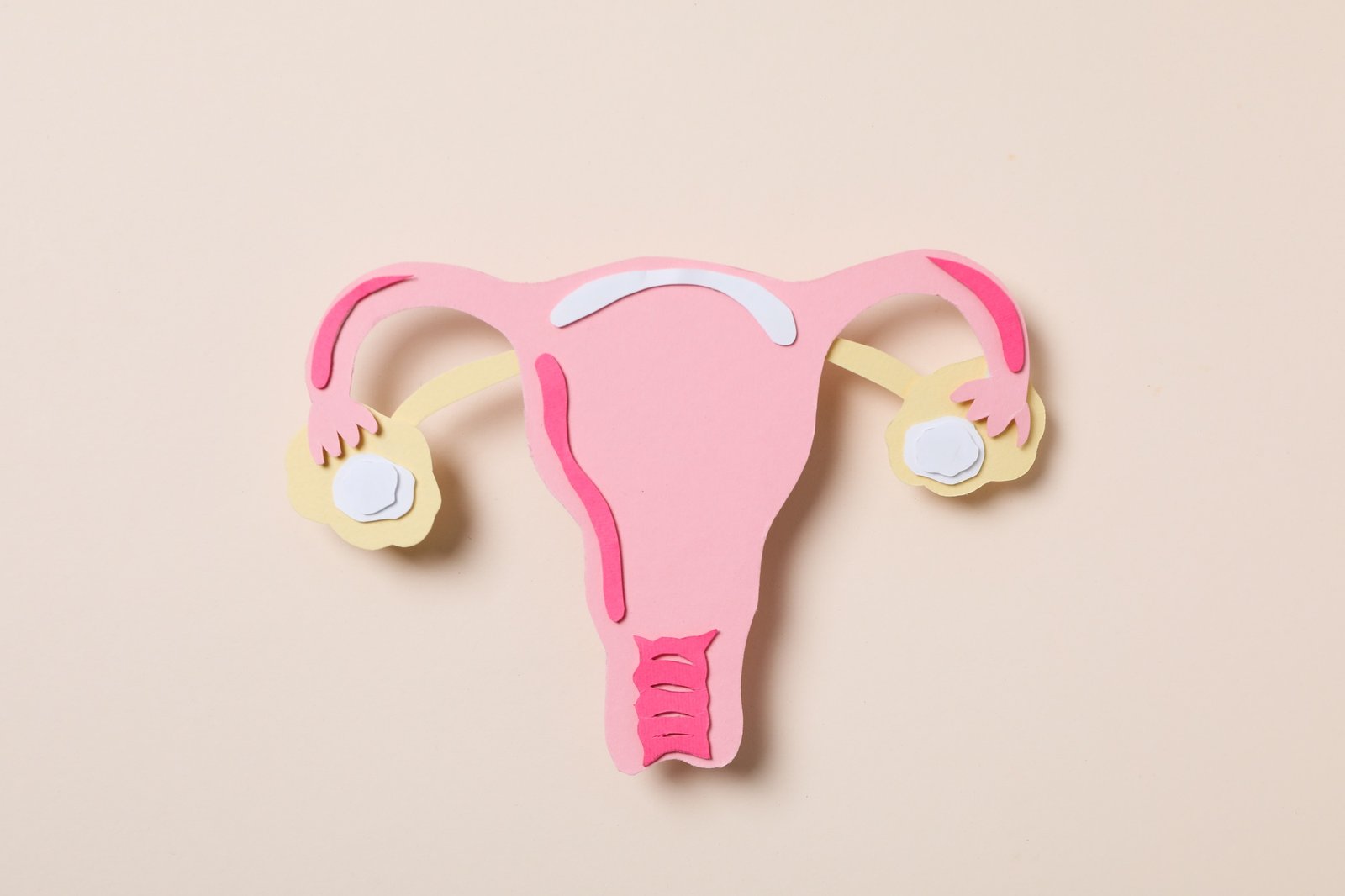 🎓 Academia de Nutrición y Salud Integral Women's health and women's healthcare concept with uterus